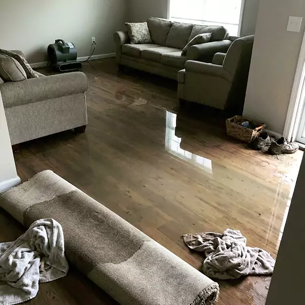 Flood Restoration in Camarillo, CA