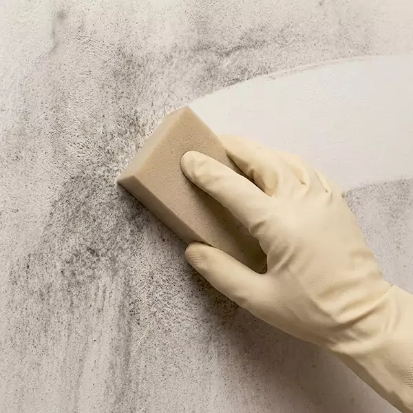 Smoke Cleaning in Camarillo, CA 