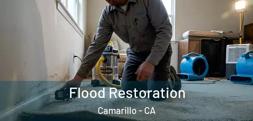  Flood Restoration Camarillo - CA