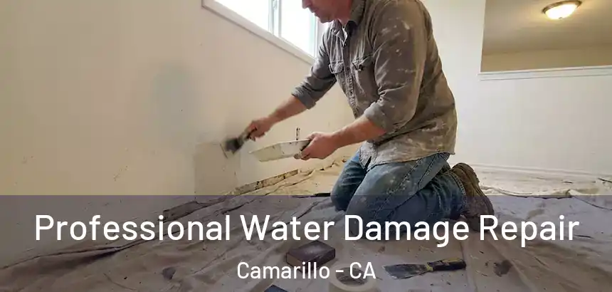Professional Water Damage Repair Camarillo - CA