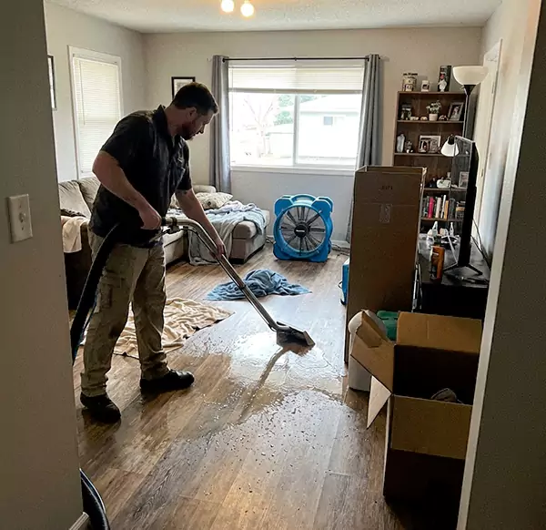 Why Choose Camarillo Water Damage for Water Restoration in Camarillo, CA?