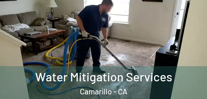 Water Mitigation Services Camarillo - CA