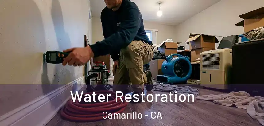  Water Restoration Camarillo - CA