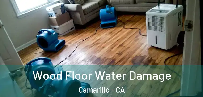  Wood Floor Water Damage Camarillo - CA